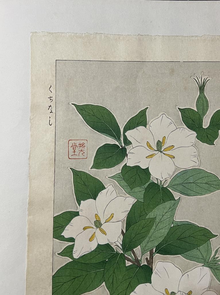 【真作】 河原崎奨堂 クチナシ 日本の花こよみ 手摺木版画 植物 芸艸堂 当時物 大判 彫長島 摺新味 新版画 かわらさきしょうどう_画像6