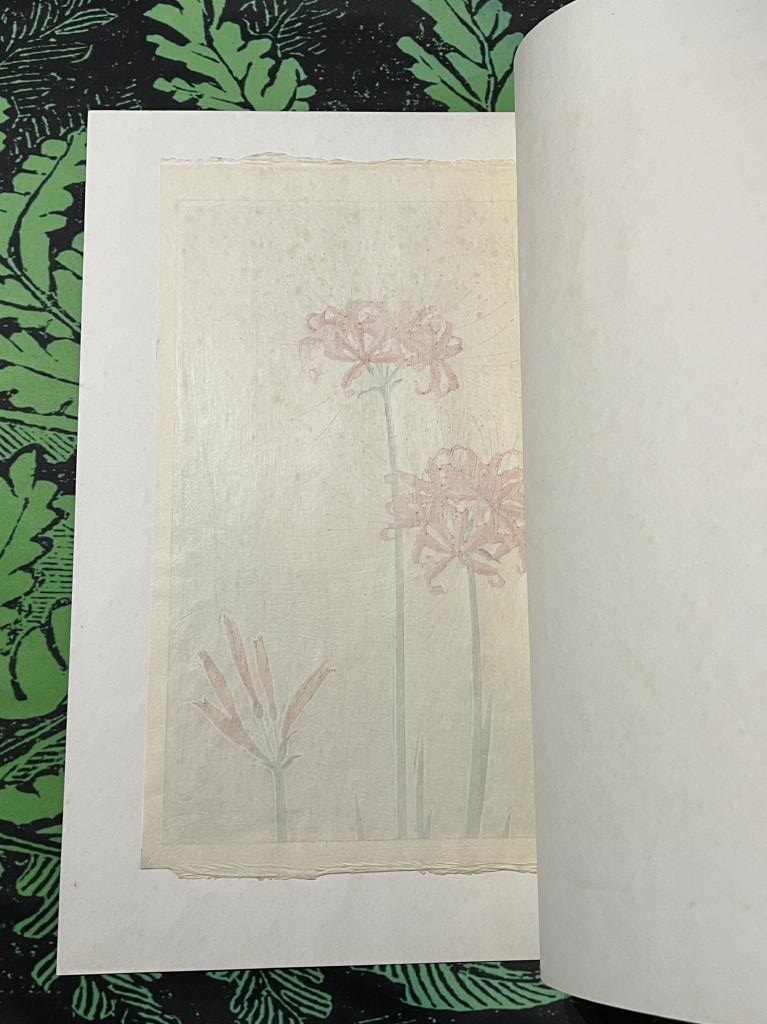 【真作】 河原崎奨堂 ヒガンバナ 彼岸花 日本の花こよみ 手摺木版画 植物 芸艸堂 当時物 大判 彫長島 摺新味 新版画 かわらさきしょうどう_画像7