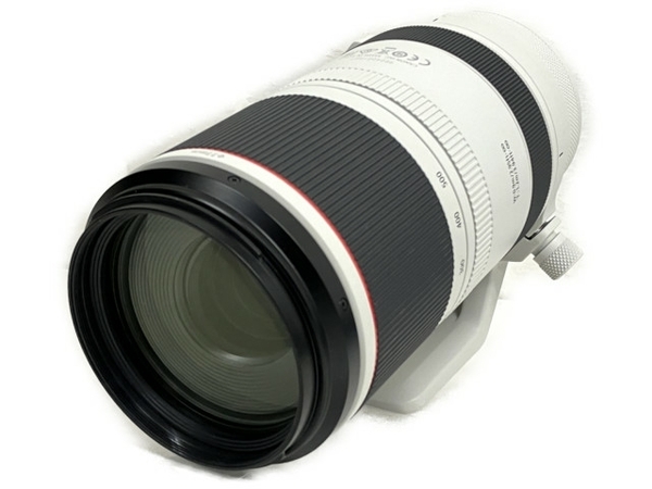 【動作保証】Canon RF100-500mm F4.5-7.1 L IS USM 超望遠ズームレンズ キヤノン 中古 良好 T8679681の画像1