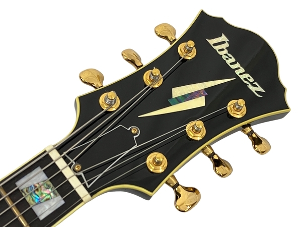 Ibanez アイバニーズ PM-100 PAT METHENY エレキ ギター フルアコ ハードケースあり 中古 良好 N8727511の画像4
