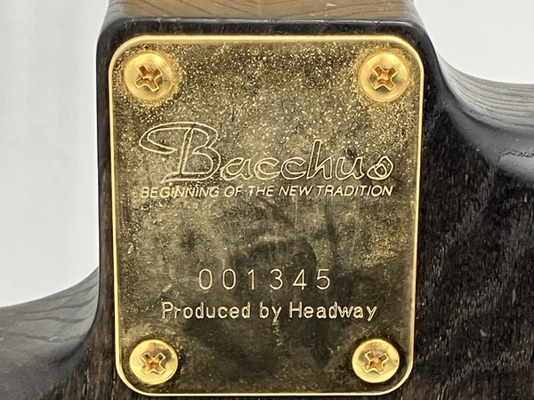【動作保証】Bacchus BST-120 エレキ ギター ストラト タイプ バッカス 趣味 楽器 中古 Z8702473の画像3