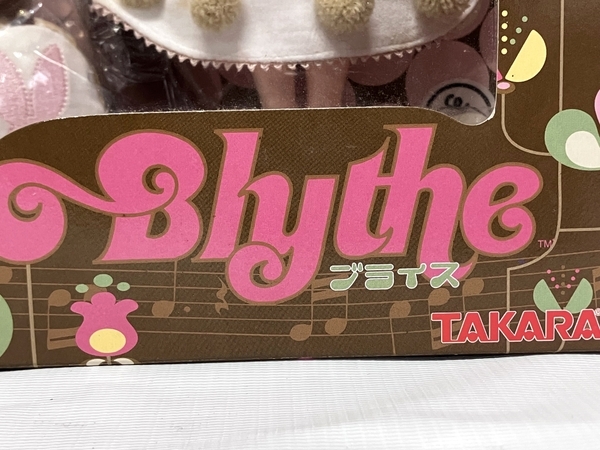 TAKARA Blythe ROK-EX ベルベットメヌエット 美少女 タカラトミー ブライス 中古 美品 F8721489の画像6