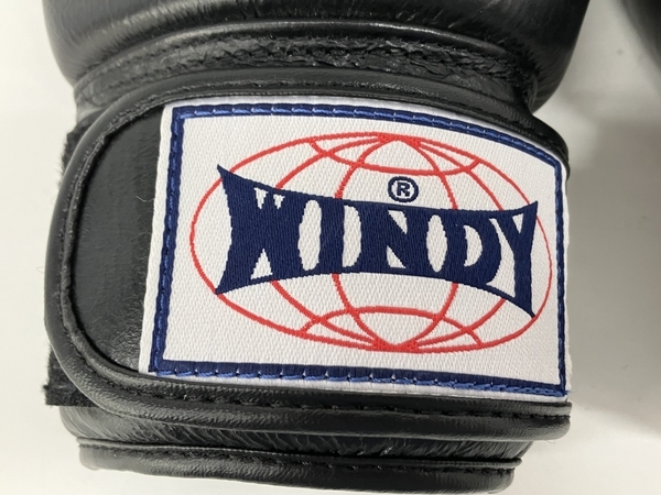 【動作保証】WINDY ボクシンググローブ 10oz BGVH テープ式 黒 ボクシング用品 ウィンディ 中古 S8767004_画像9