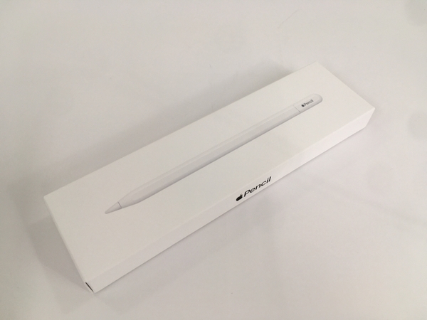 【動作保証】Apple pencil USB-C MUWA3ZA/A 最新モデル アップルペンシル タブレット 周辺機器 中古 美品 Y8805804の画像2