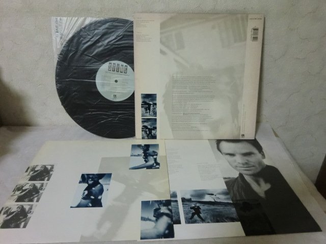 (Q)何点でも同送料 LP/レコード/ STING/DREAM OF THE BLUE TURTLES/SP-3750/スティング/ブルータートルの夢の画像2