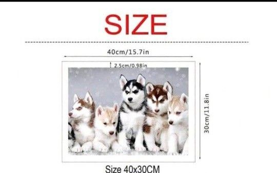 新品ダイヤモンドアート30×40 可愛い子犬　　5匹のシベリアン・ハスキー　ワンちゃん　 ペット愛犬　作成キット