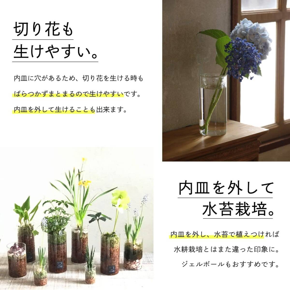 SPICE OF LIFE(スパイス) 水替えしやすい 水栽培ガラスベース 花瓶 MINI BULB VASE バルブベース クリ_画像4