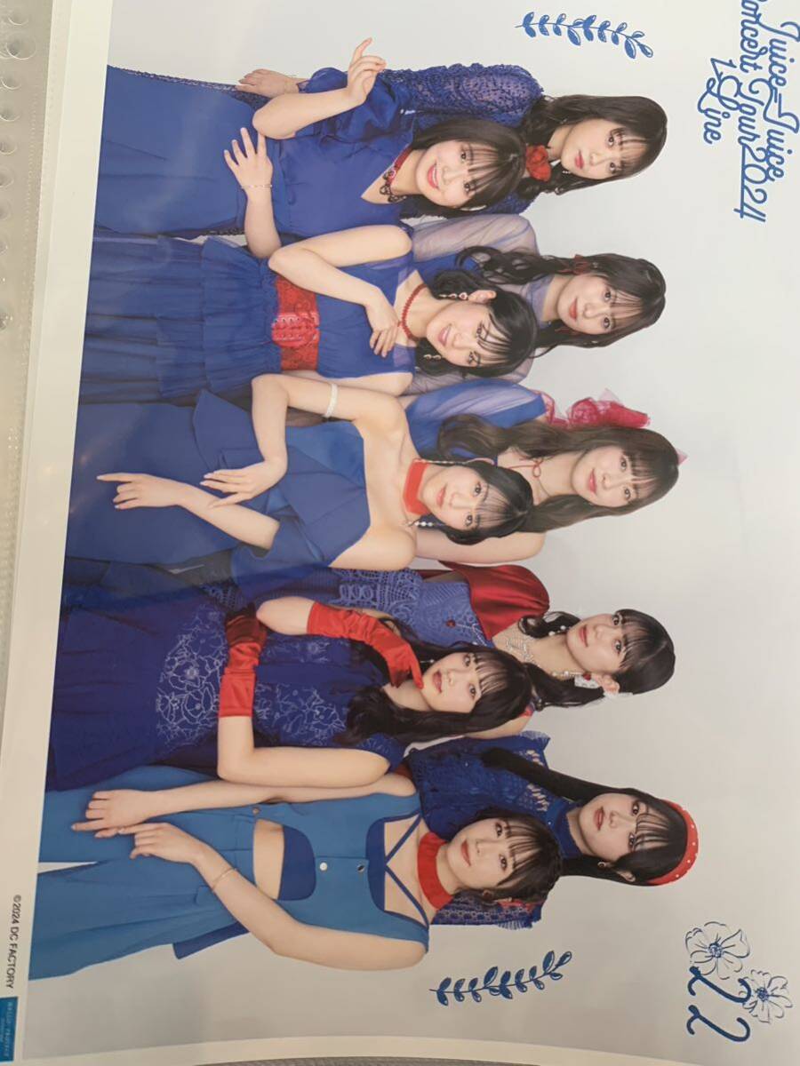 【集合・22】コレクションピンナップポスター ピンポス Hello! Project Juice=Juice Concert Tour 2024 1-LINE_画像1