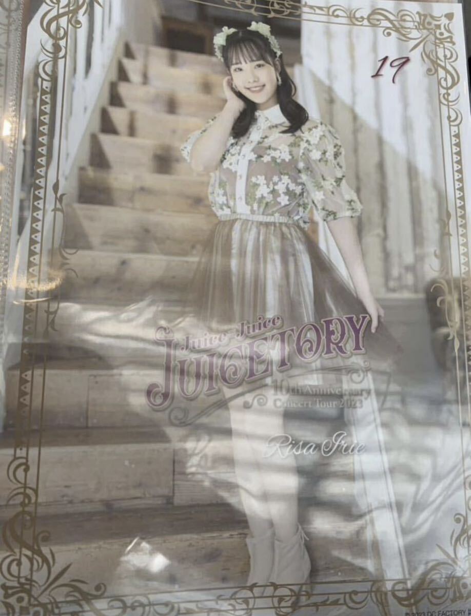 【入江里咲・19】コレクションピンナップポスター ピンポス Juice=Juice 10th Anniversary Concert Tour 2023 〜Juicetory〜_画像1