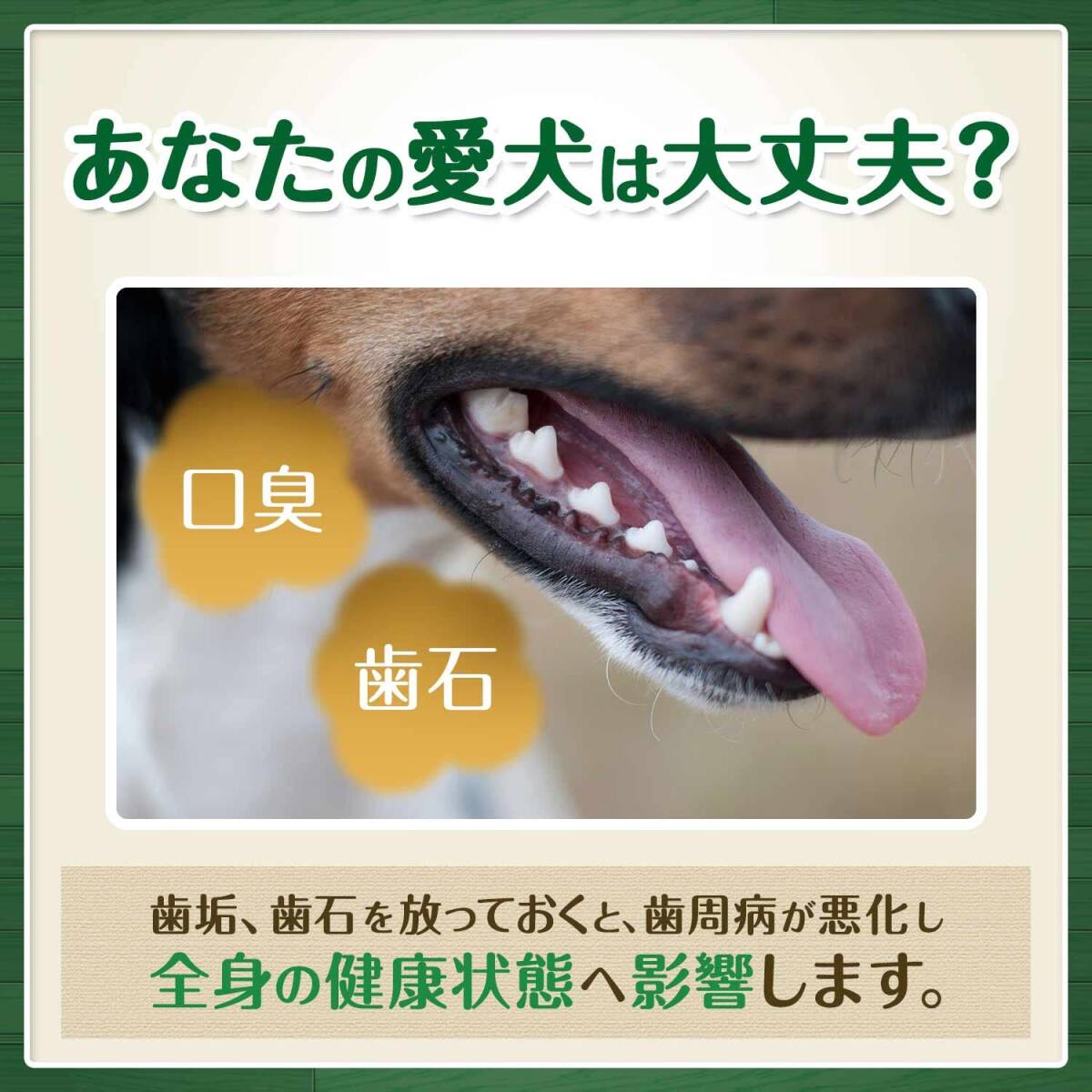 Greenies グリニーズ プラス 成犬用 小型犬用 7-11kg 30本(15本×2袋) 犬用歯みがきガム【総合栄養食】【口臭】【歯石化する_画像3