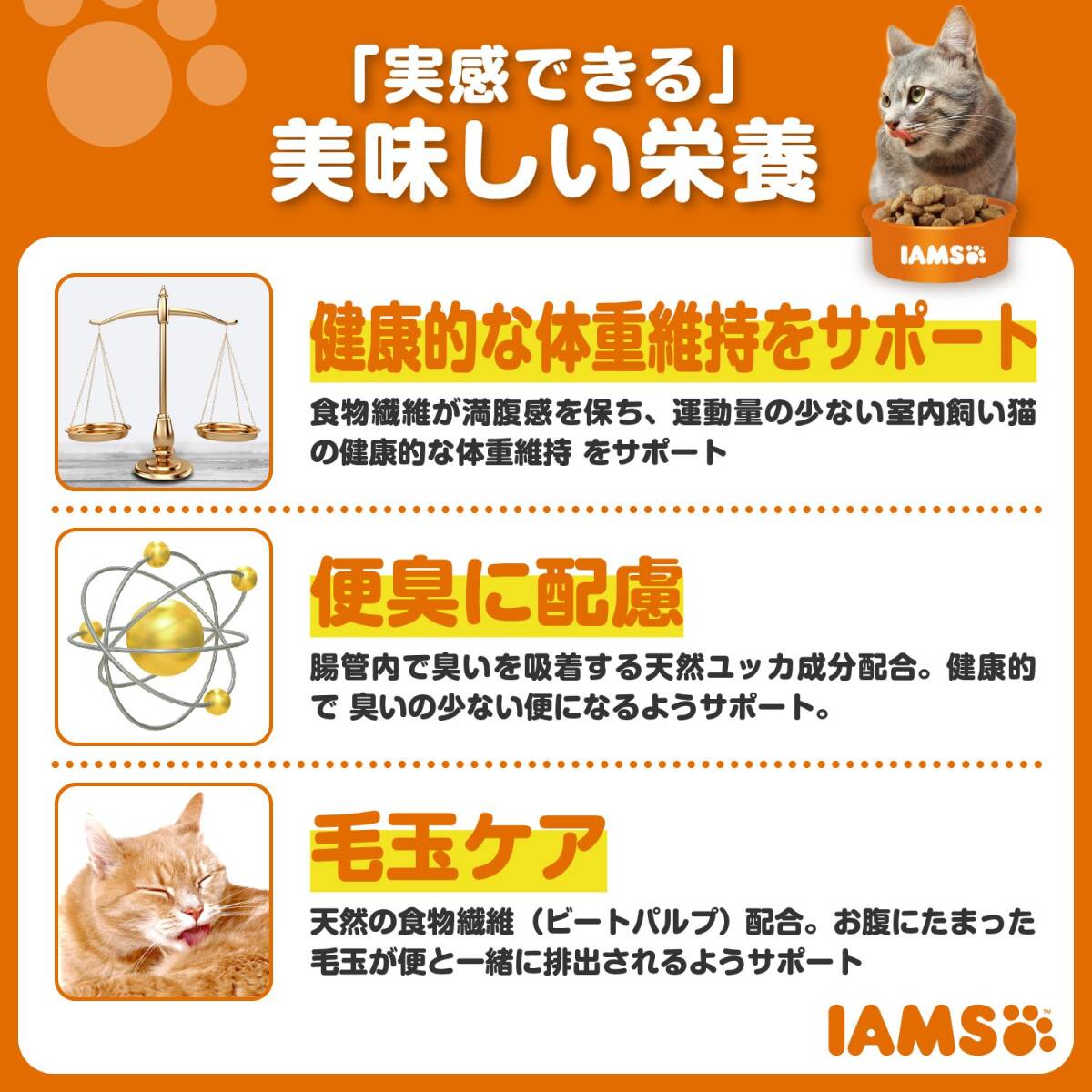 アイムス (IAMS) キャットフード 成猫用 避妊・去勢後の健康維持 チキン 1.5キログラム (x 1)_画像2