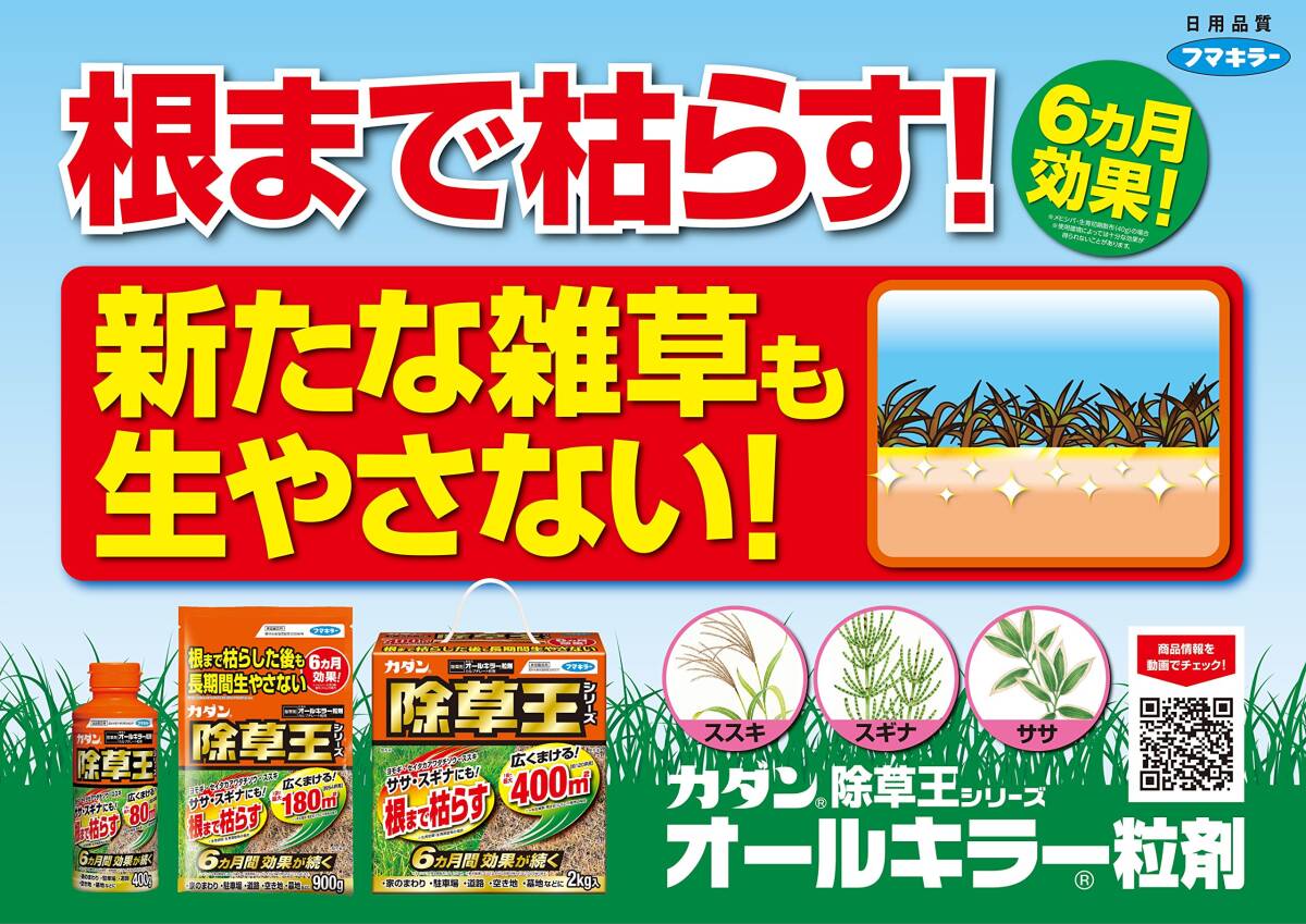 カダン除草王シリーズ オールキラー粒剤 2kg_画像4