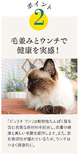 ピュリナ ワン キャットフード 室内飼い猫用 インドアキャット 1歳以上 サーモン&ツナ 2kg_画像4