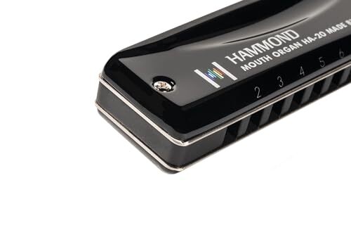 HAMMOND Hammond 10 дыра губная гармоника HAMMOND HA-20 F style черный 