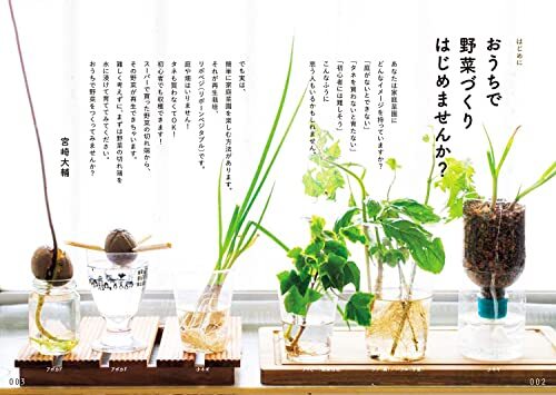 キッチンからはじめる!日本一カンタンな家庭菜園の入門本 おうち野菜づくり_画像3