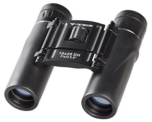 Kenko 双眼鏡 V-TEX 10×25 DH ダハプリズム式 10倍 25口径 2軸式 VT-1025D_画像1