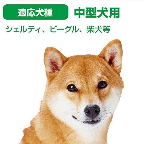 ペティオ (Petio) 犬用おもちゃ 歯みがきロープ 中型犬用 M サイズ_画像5