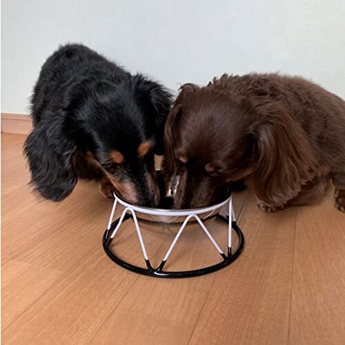 S.P.B. (スーパーペットボウル)犬用食器 シングルダイナー Mサイズ_画像5