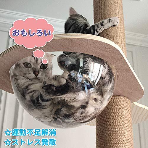 [RAKU] новое развитие дерево .. tower кошка космический корабль повышение детали [ дерево .. tower ]. дополнение * для замены космический корабль кошка 360° поле зрения кошка bed прозрачный вентиляция 