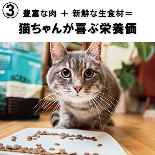 アカナ クラシック アカナ ファーストフィーストキャット 1.8KG_画像8