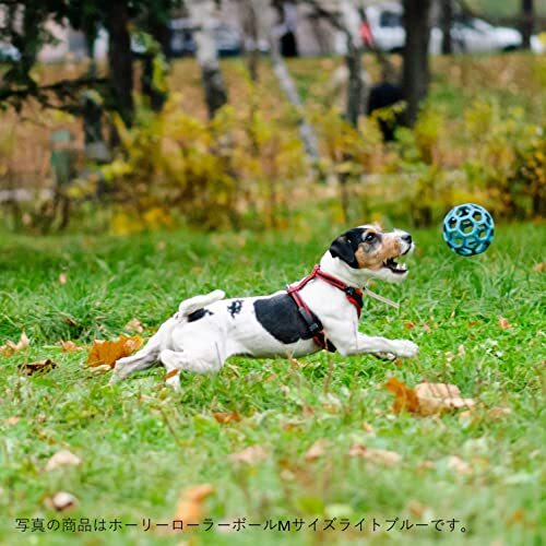 JW Pet(JWペット) 犬用おもちゃ ホーリーローラーボール 中型犬 Mサイズ ライトブルー_画像10