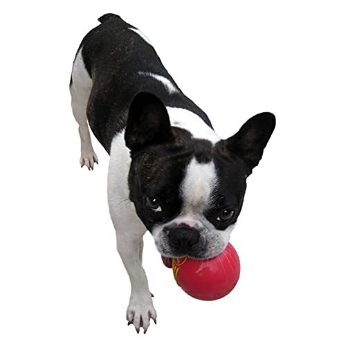 JW Pet Company 犬用おもちゃ アイスクィークボール Sサイズ レッド_画像4