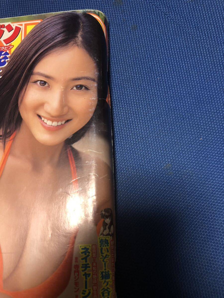 ヤングマガジン 2009年 No.50 紗綾(15歳) 虎南有香 安藤成子の画像7