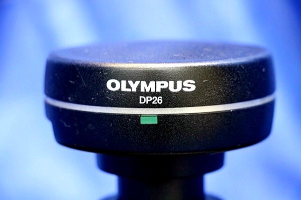 Yahoo!オークション - OLYMPUS/オリンパス 顕微鏡用デジタル Yahoo!オークション - OLYMPUS/オリンパス 顕微鏡用デジタル