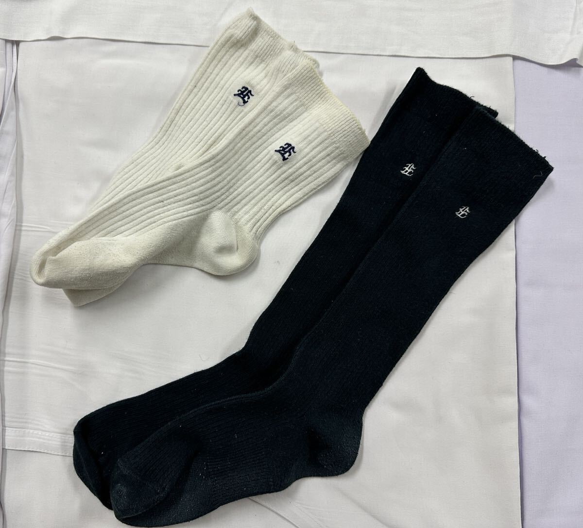 江戸川学園取手中学校 高等学校現行女子制服セットLサイズ W72 江戸川学園取手中学校 高等学校現行女子制服セットLサイズ W72