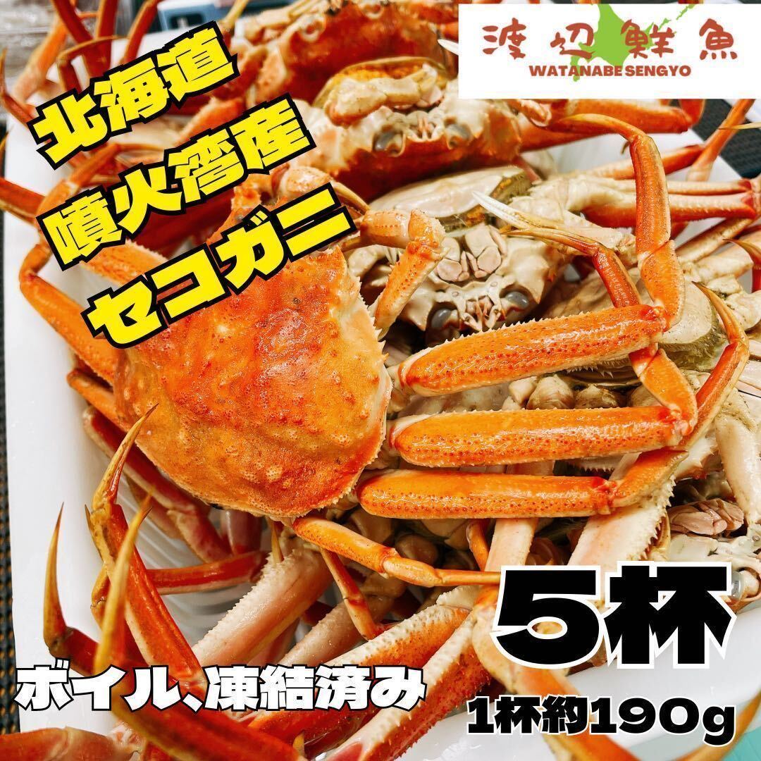 1円〜　特別！大人気のセコガニ ズワイガニ　セコガニ5杯　北海道産 ボイル 蟹カニ _画像2