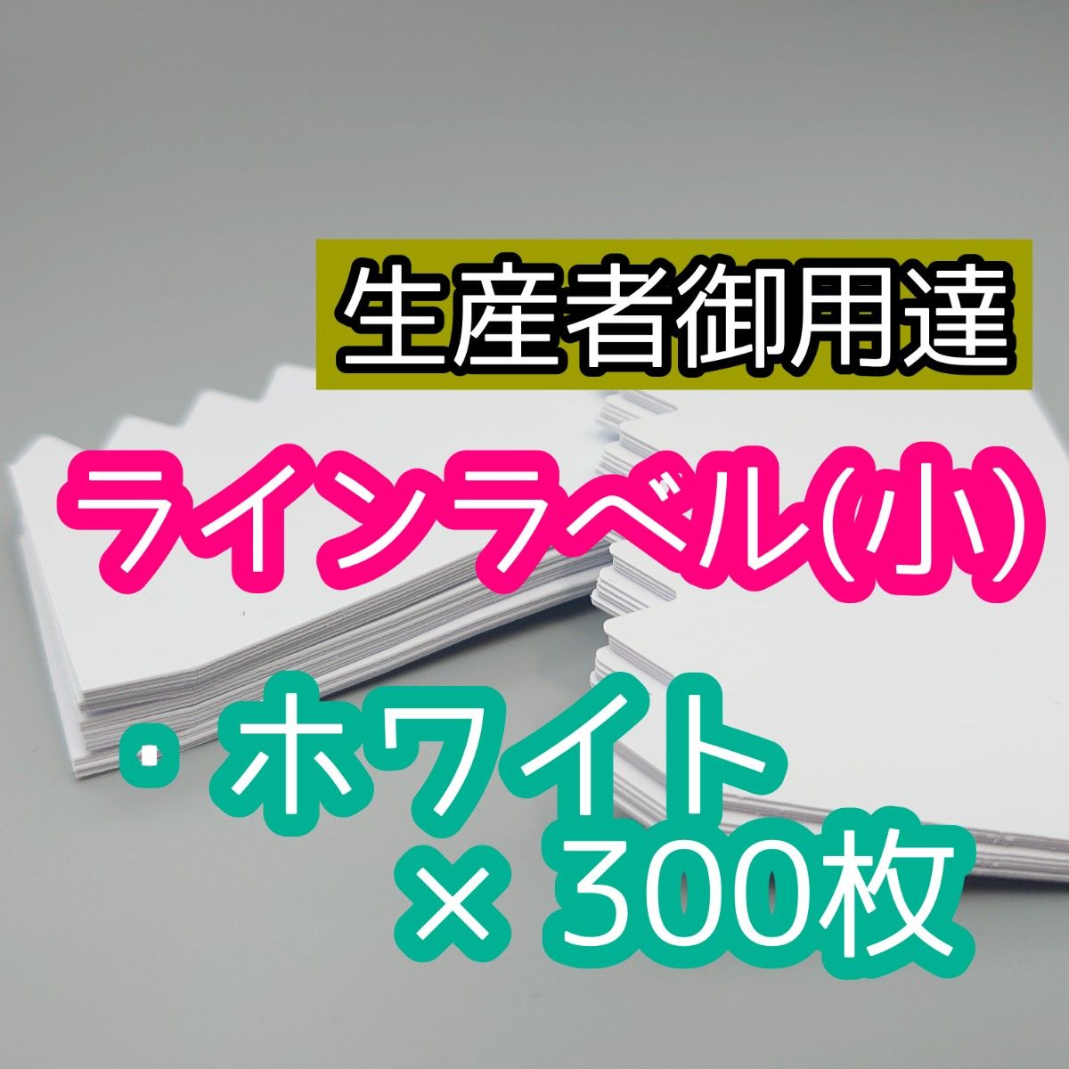 ◎オーダー可◎ 300枚 白 ラインラベル 小 園芸ラベル カラーラベル 多肉植物 サボテン 観葉植物 アガベ 洋蘭 薔薇