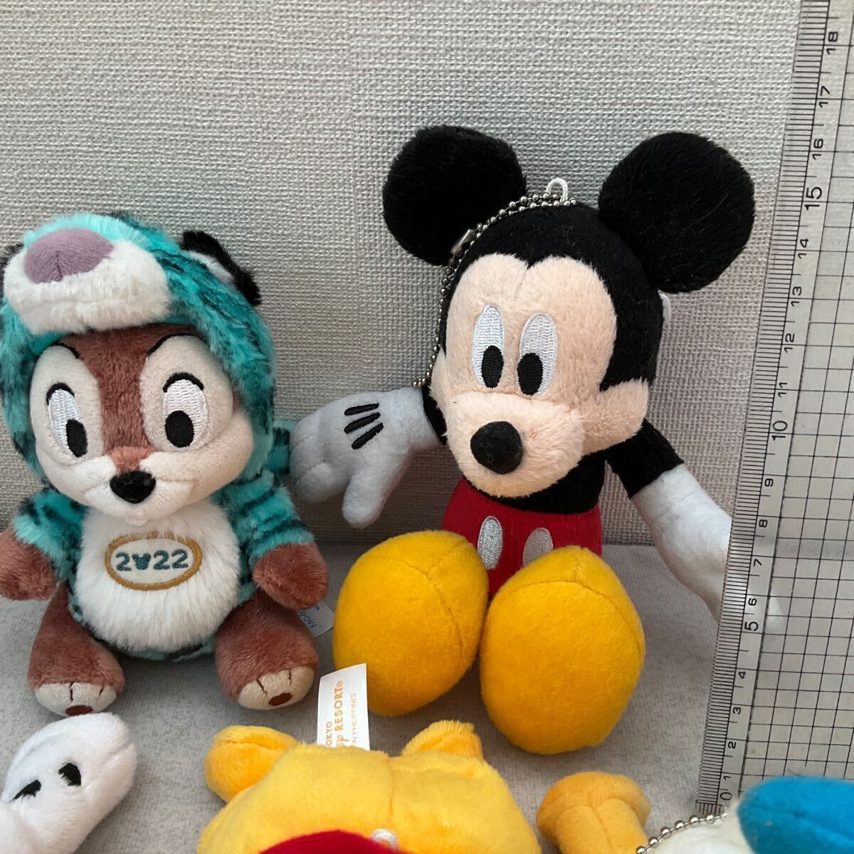 東京ディズニーランド シー　ぬいぐるみ　セット　ミッキー　バッジ　プーさん　肩のせ ドナルド 2022 チップ マスコット　野獣 ストラップ_画像2