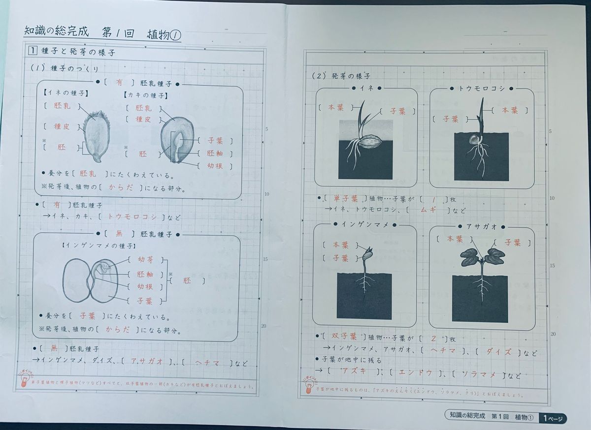 サピックス　理科　知識の総完成　第 1回　第2回　第3回　b4プリント　 回毎四ページ