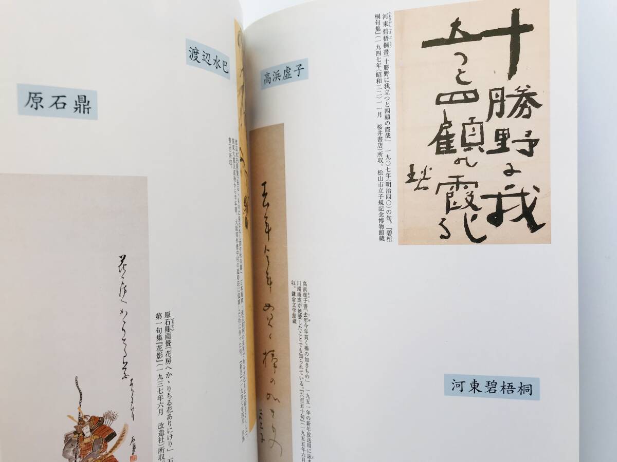 【溪】図録　俳句　その魅力展　子規　漱石　虚子　井泉水　山頭火　2006年 神奈川近代文学館　神奈川文学振興会　美品_画像3