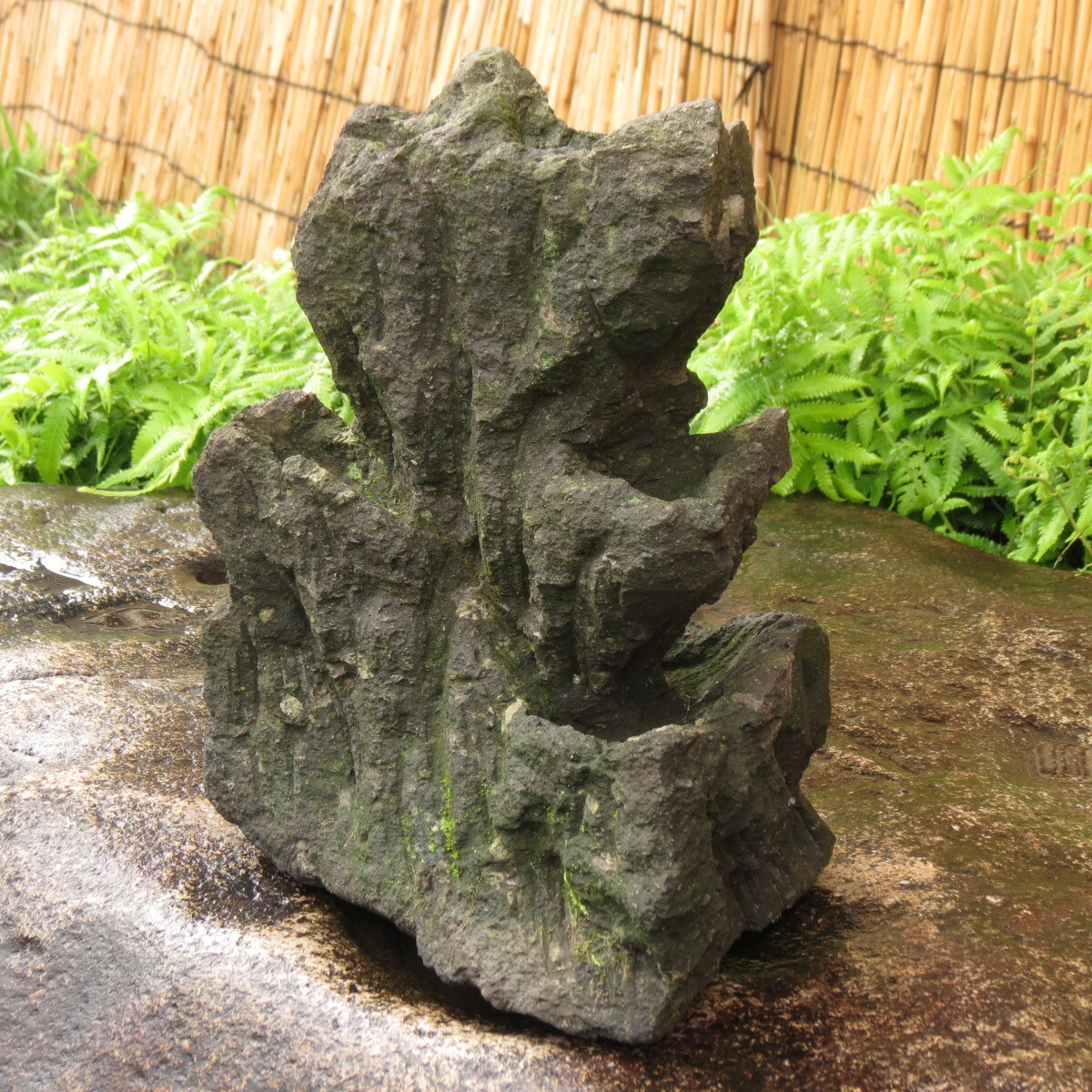  rock pot height 37cm weight 13kg garden stone Kyushu production natural stone 