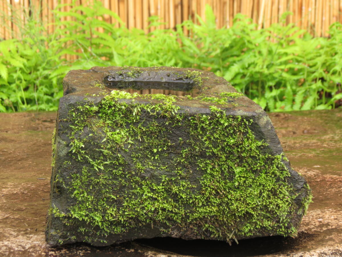 蹲 横幅25.5cm 重量7kg 石鉢 庭石 九州産天然石の画像1
