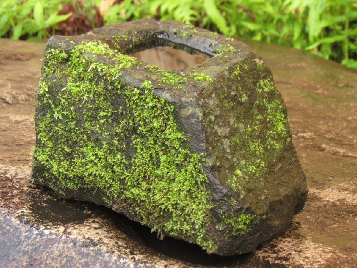 蹲 横幅25.5cm 重量7kg 石鉢 庭石 九州産天然石の画像6