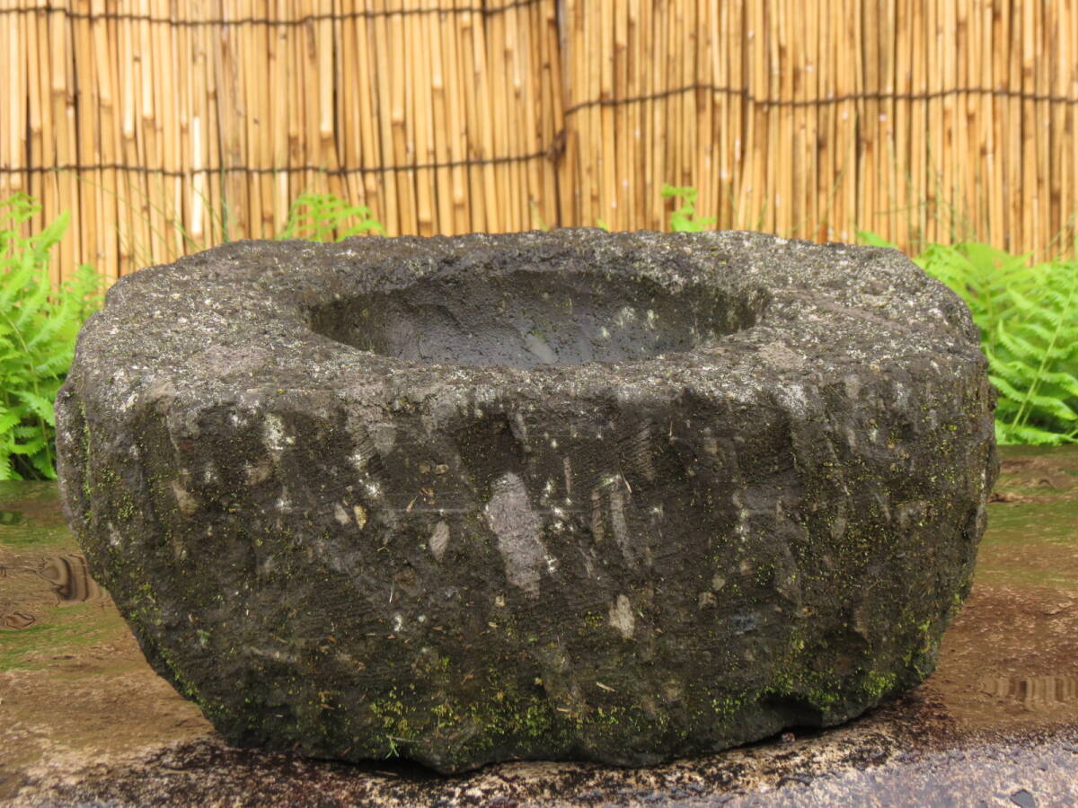 蹲 横幅43cm 重量29.5kg 手水鉢 植木鉢 庭石 九州産天然石の画像7
