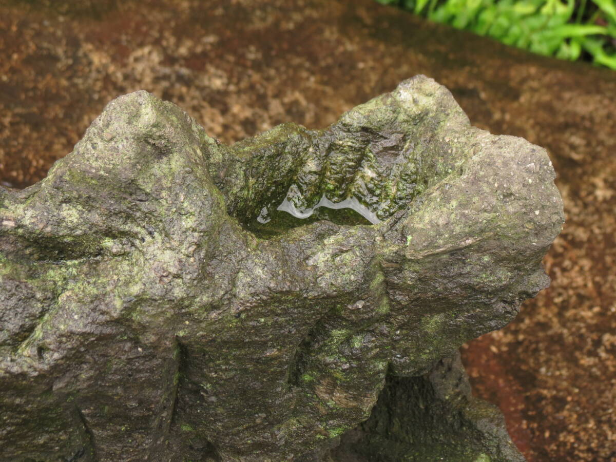 岩鉢 高さ37cm 重量13kg 庭石 九州産天然石の画像2