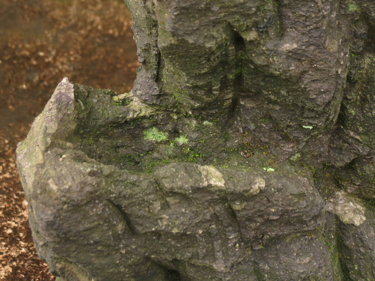 岩鉢 高さ37cm 重量13kg 庭石 九州産天然石の画像4