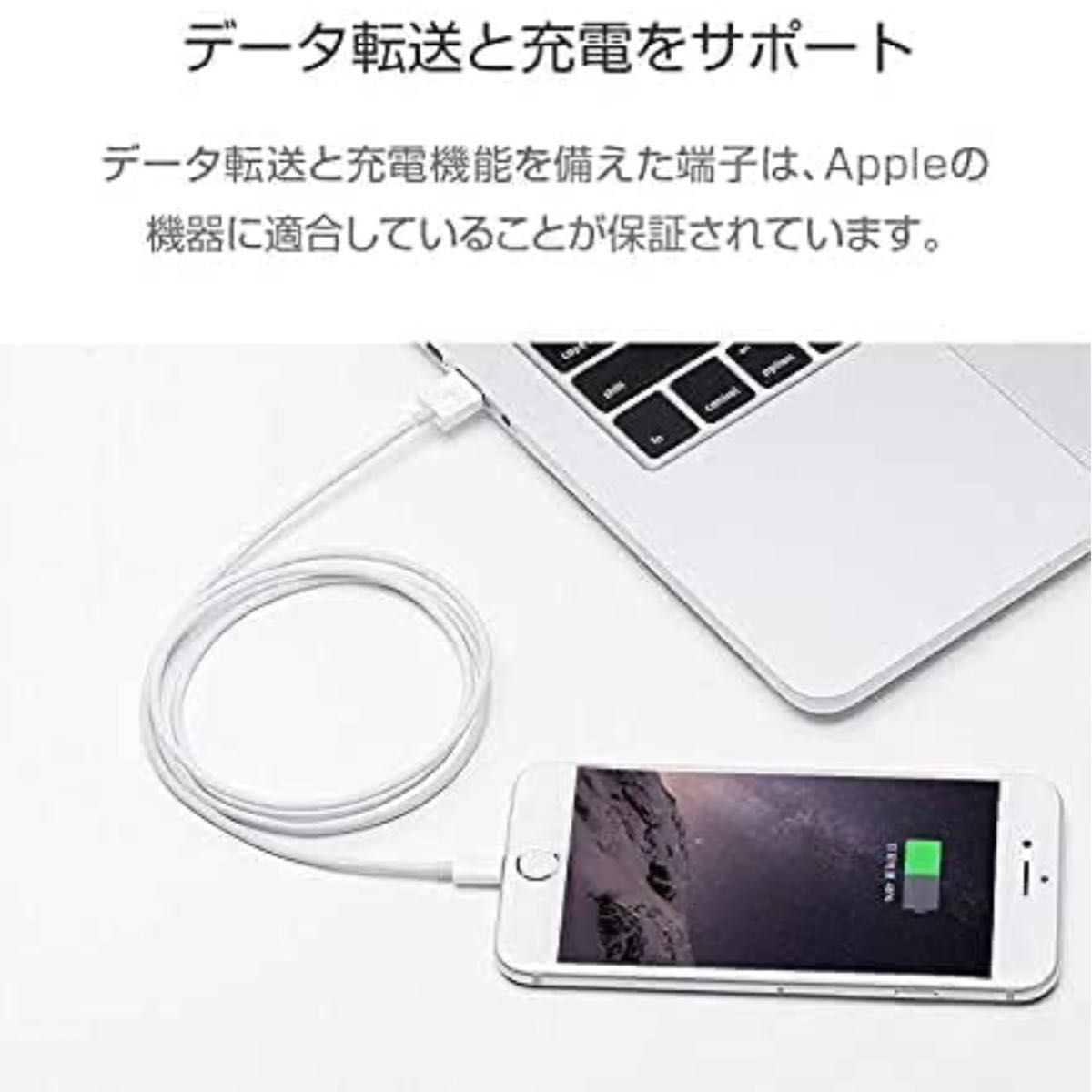 iPhone 充電ケーブル