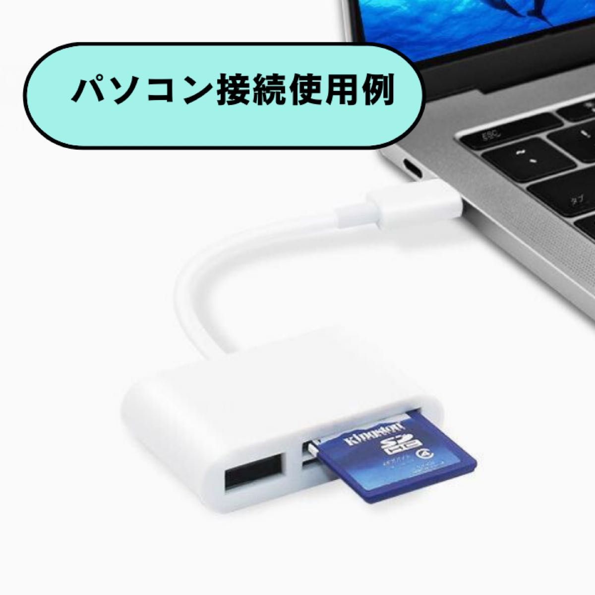 タイプC SDカードリーダー microSDカードリーダー USBメモリ iPhone Android iPad TypeC