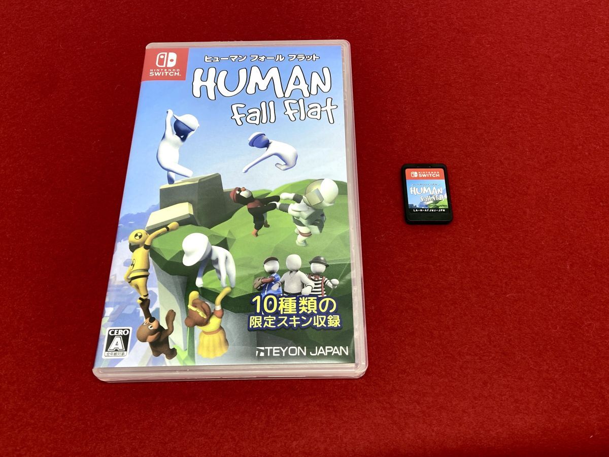 【E310】美品 ニンテンドースイッチ Nintendo Switch ヒューマン フォール フラット/HUMAN fall flat ソフトの画像3