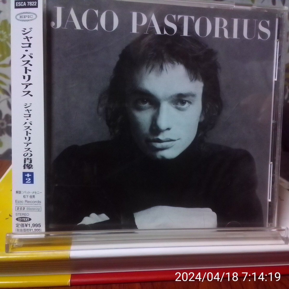 Jaco Pastorius / ジャコ・パストリアスの肖像 日本盤帯付きの画像1
