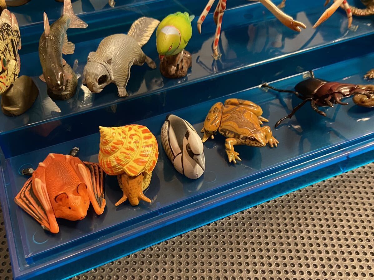 チョコエッグ 日本の動物コレクション 海洋堂 シークレット2体含む26体セットの画像5