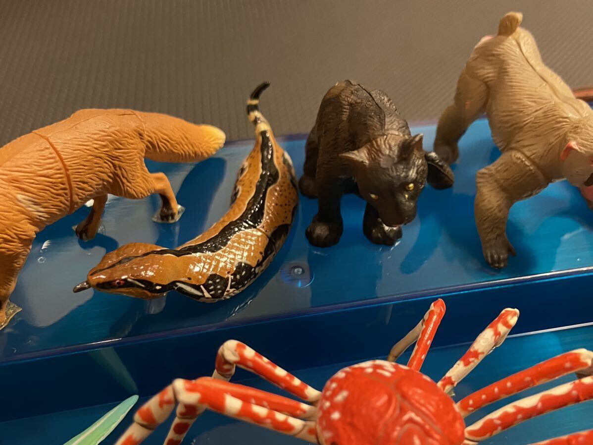 チョコエッグ 日本の動物コレクション 海洋堂 シークレット2体含む26体セットの画像1