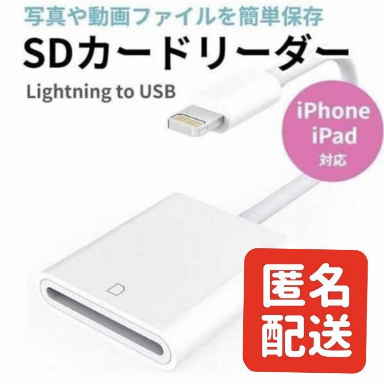 Lightning SDカードリーダー iPhone iPad データ移行 写真_画像1