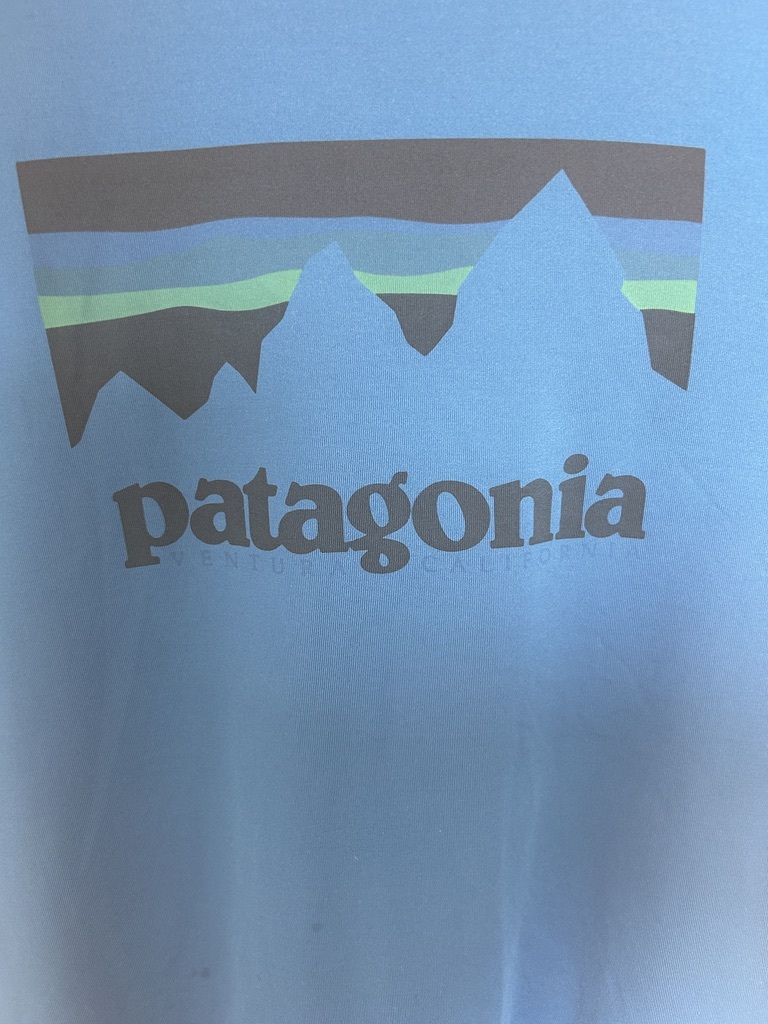Patagonia daily capilene daily Tシャツ サイズL パタゴニア キャプリーン デイリー ブルーの画像4