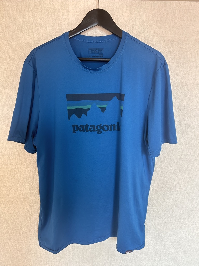 Patagonia daily capilene daily Tシャツ サイズL パタゴニア キャプリーン デイリー ブルーの画像1