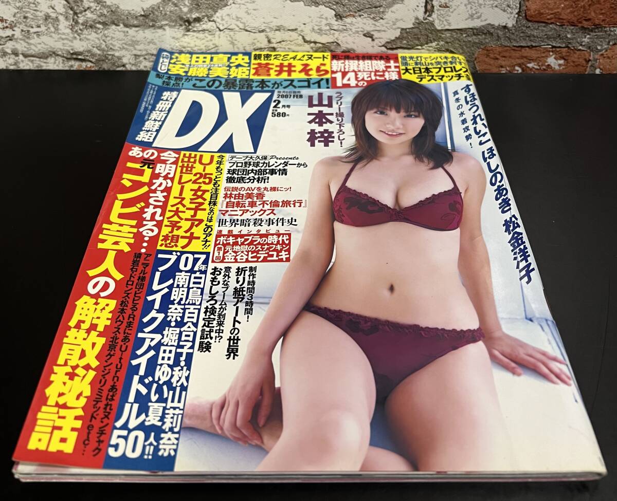 特冊新鮮組DX (デラックス) 2007（平成19）年2月号 山本梓 すほうれいこ ほしのあき 松金洋子 原幹恵 白鳥百合子の画像2